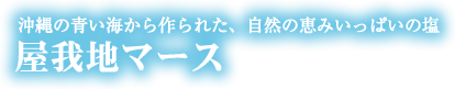 沖縄の塩・屋我地マース