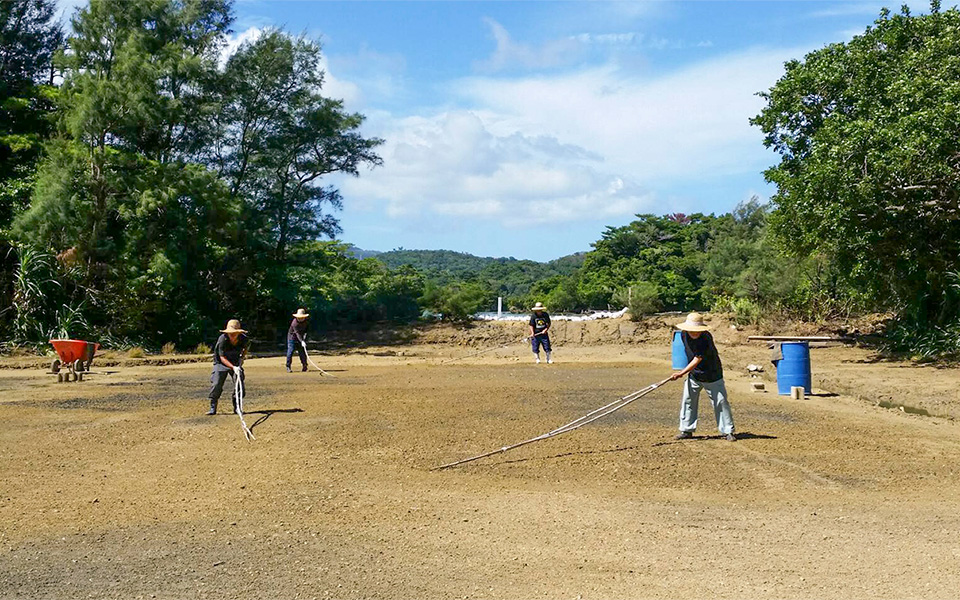 ホーキ作業（均し）