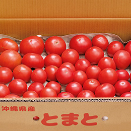 【高糖度】えんでんトマト 10kg 送料無料